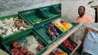 IMMERSION en agriculture et élevage pour la diaspora en Allemagne et en Suisse