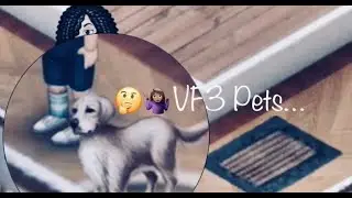 🧐🤔 My Thoughts about the Pets|VF3