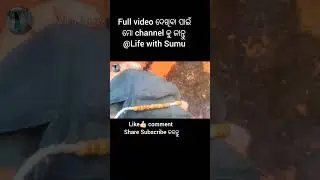 Minivlog❤️🥰#minivlog #duet #vlog #odia #beautiful #beach#shortvideo