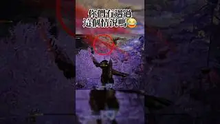 你們有遇過這個情況嗎😂艾爾登法環黑夜君臨