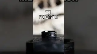 Meteorite VS Dinosaur bone
