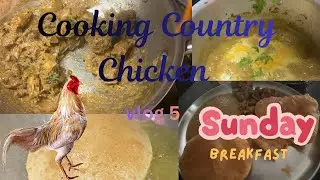 Vlog 5: Cooking country chicken | sunday vlog #tamil #sunday #vlog 