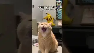Laughing with Pets #comedypets #laughwithpets #doghumor #petcomedy #catlaughs