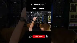 Organic House Vibes  #dj #techno  #organichouse  #housemusic