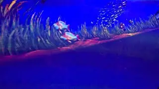 Tassie's Underwater Twist 4K 60fps on-ride POV Aquatica Orlando (2024)
