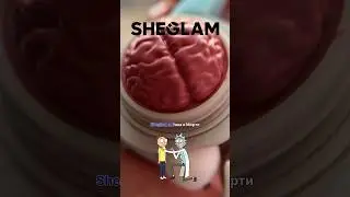 Ура 🙌🏻 Теперь я с мозгами от Sheglam и Rick and Morty! #румяна #makeup #makeupshorts #rickandmorty
