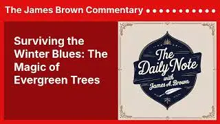 Surviving the Winter Blues: The Magic of Evergreen Trees | The James Brown Commentary