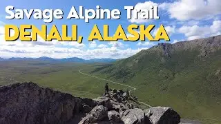 Savage Alpine Trail | Denali National Park, Alaska