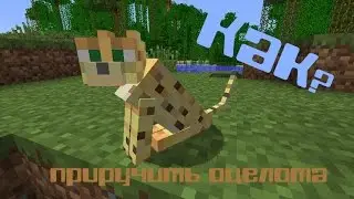 Как создать кота, как приучить оцелота