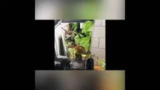 Smoothie Time