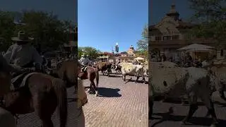 Stock Yards #fortworth #stockyards #video #viralvideo #shortsfeed #shortsvideo