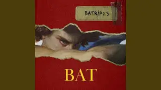 Bat