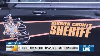 15 people arrested in human, sex trafficking sting in Berrien County