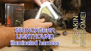 noxgear LIGHTHOUND illuminated dog harness