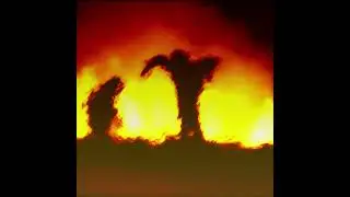 TIIMMYX - LLlef