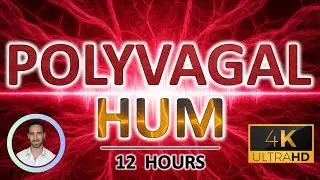 Polyvagal Hum | Deep Sleep and Nervous System Calming | 12 Hours | Vagus Nerve and Anxiety Soothing