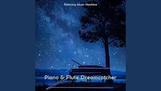Pure Spa Massage Music