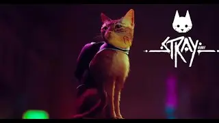 stray full  hd 1080p game play | rx 570 nitro+ 8 gb 256 bits oc | ryzem 5 1600x 4.0