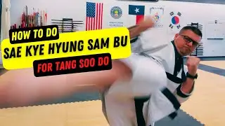 How to do Sae Kye Hyung Sam Bu for Tang Soo Do