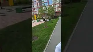 VID 20190701 171220