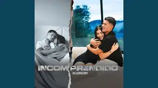 INCOMPRENDIDO