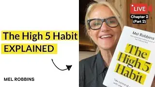 Mel Robbins explains The High 5 Habit | Chapter 2 from The High 5 Habit (Part 2)