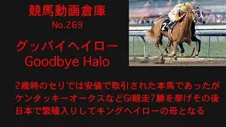 【競馬】グッバイヘイロー　Goodbye Halo【No269】