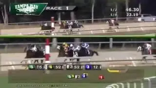 Inaswagger - Daniel Centeno - Tampa Bay Downs - 10 Dic 2016