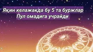 Яқин келажакда бу 5 та буржлар Пул омадига учрайди