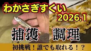 【琵琶湖ワカサギすくい】2026年、正月に初挑戦ししたら美味すぎた！