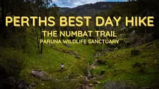 BEST DAY HIKE IN PERTH! The Numbat Trail | Paruna Wildlife Sanctuary