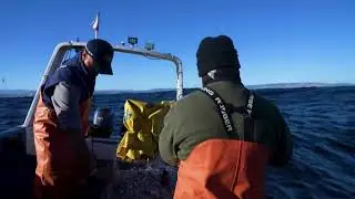 Missing merluza: Chile's battle to save its favorite catch