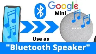 Use Google Home mini as 
