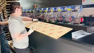 EF-3000 Edge Finisher Machine