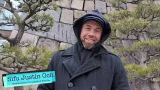 Osaka Castle | Japan | Siu Lum Tao | Wing Chun 1st form | First Form Wing Chun