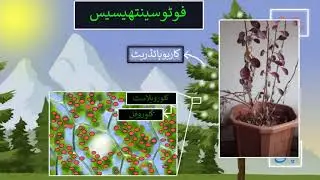 Photosynthesis | Life Processes | Biology | Khan Academy Urdu