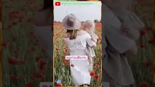 Agritourism Business Ideas : Unveiling Profitable Ventures in Agro Tourism! | Agri tourism