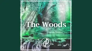 The Woods