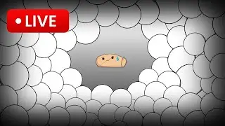 Viewer's Control My Roblox Account | LIVE