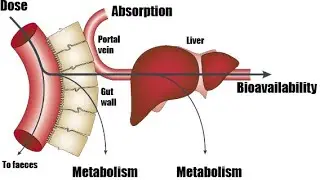 DMPK in drug discovery-Drug metabolism and Pharmacokinetics