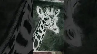 realistic portrait of giraffe