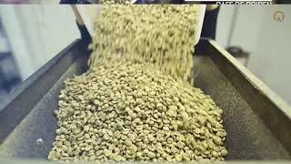 Caff&eacute;giano Parte 1 - The Lab Coffee Roasters