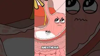 Why You Can&rsquo;t Eat Before Surgery #animation  #funny  #shorts