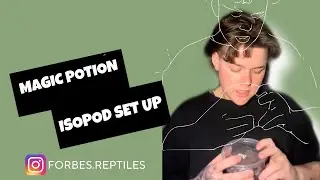 MAGIC POTION ISOPOD SET UP