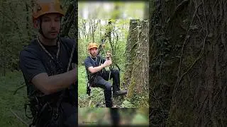 Setting up the Haas Velox Clip and Step. FULL VIDEO ON CHANNEL. #arborist #treeclimbing