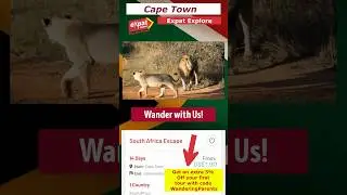 Expat Explore South Africa Escape : Discount Code