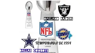FUTBOL AMERICANO NFL PLAYOFFS 1994 NFC & AFC RUMBO AL SUPER BOWL XXVIII=28 CASQUITOS MARINELA.