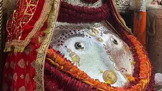 11 January 2026 Morning Aarti Darshan Jai Maa Kalka #dailydarshan #kalkaji #kalka #kalkamai