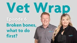 Vet Wrap Episode 6 Broken bones: What to do first?