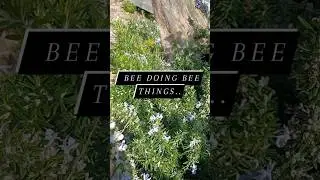 DO IT FOR THE BEES!! #farming #farmer #garden #farm #gardening